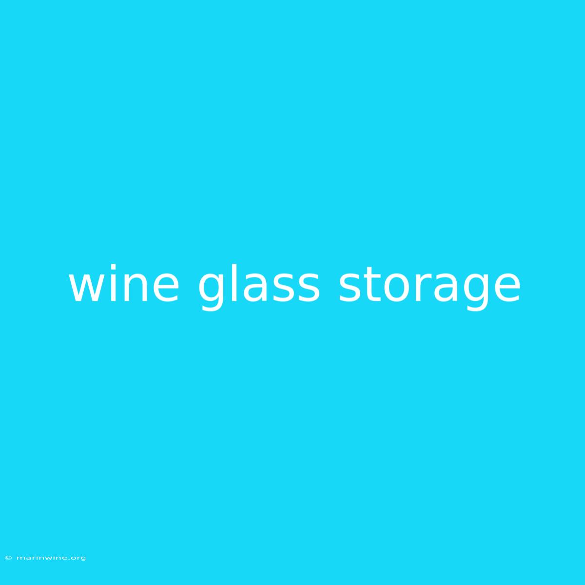 Wine Glass Storage