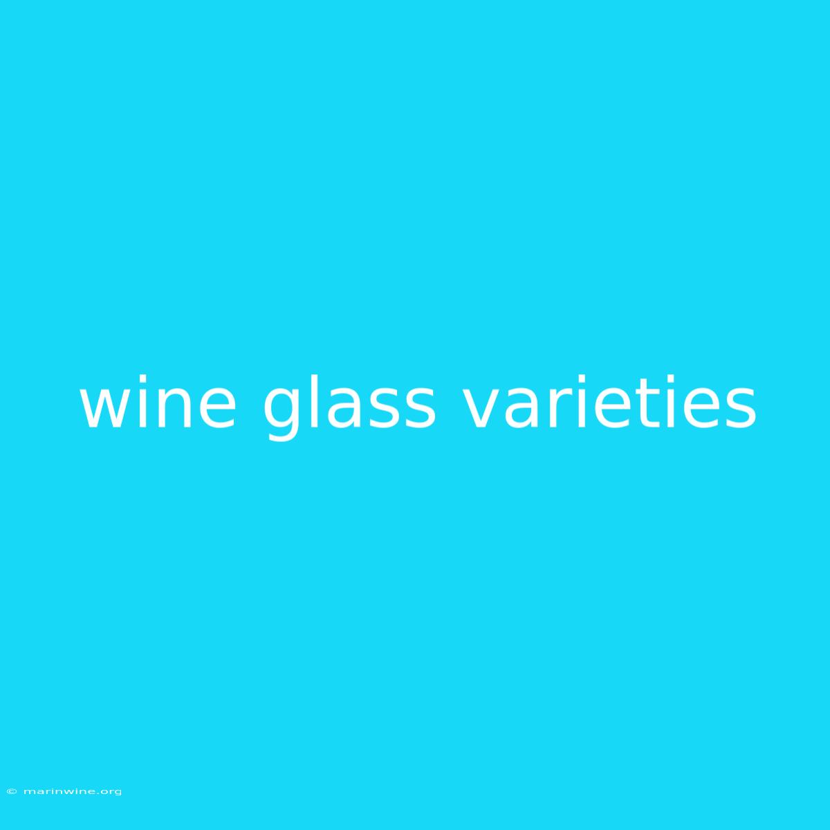 Wine Glass Varieties