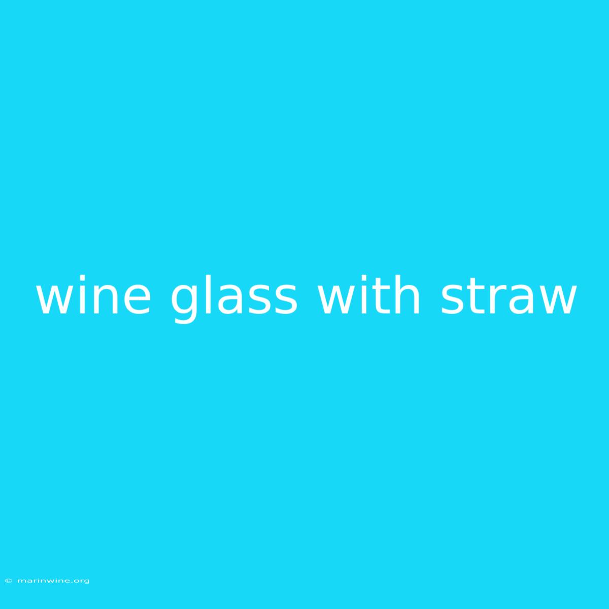 Wine Glass With Straw