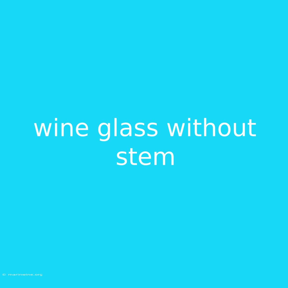 Wine Glass Without Stem