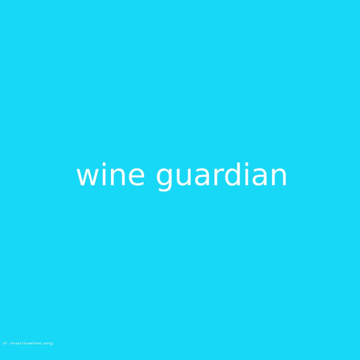 Wine Guardian