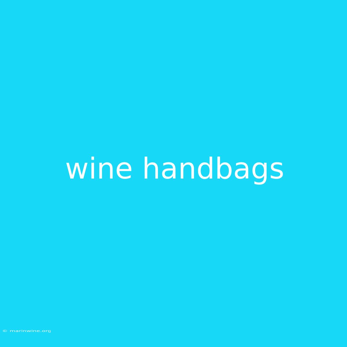 Wine Handbags