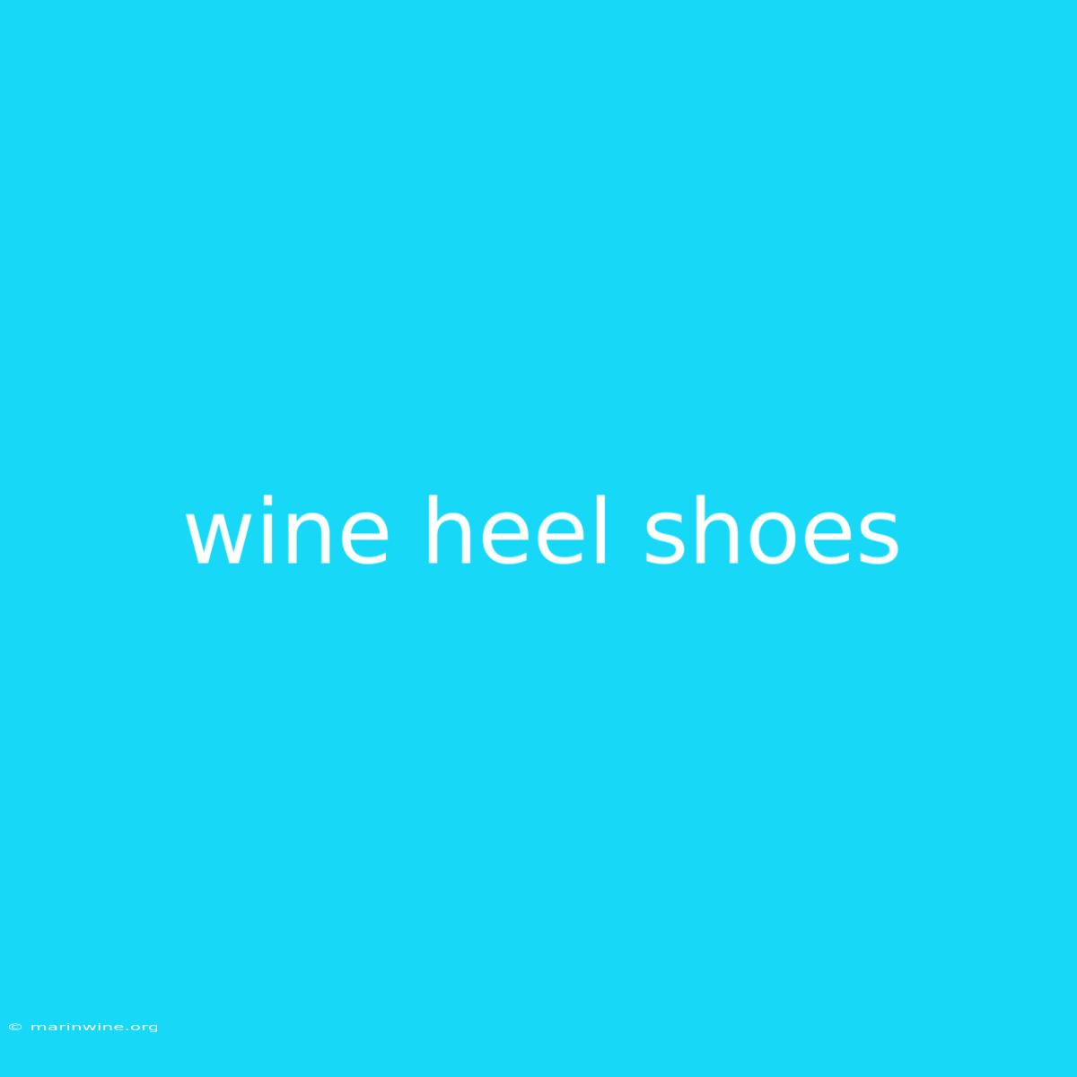 Wine Heel Shoes