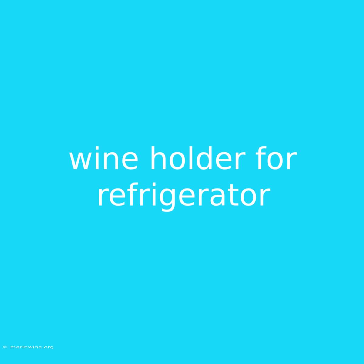 Wine Holder For Refrigerator