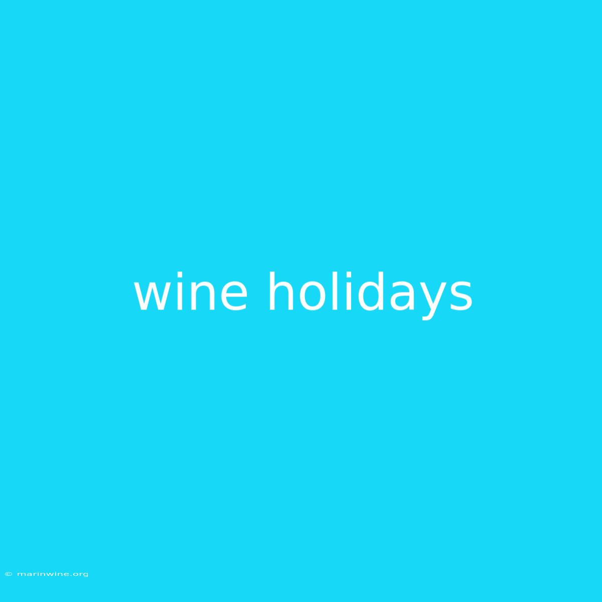 Wine Holidays