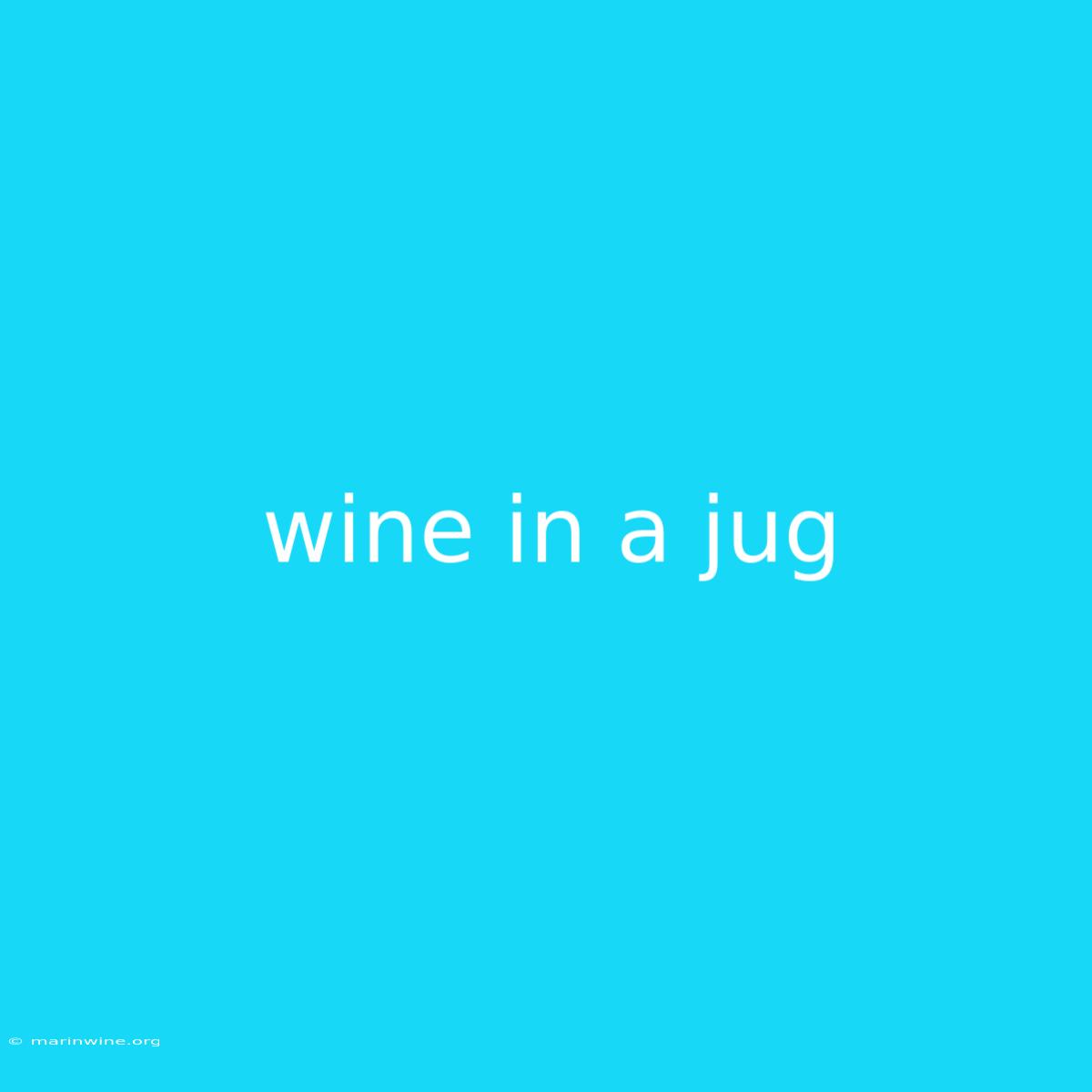 Wine In A Jug