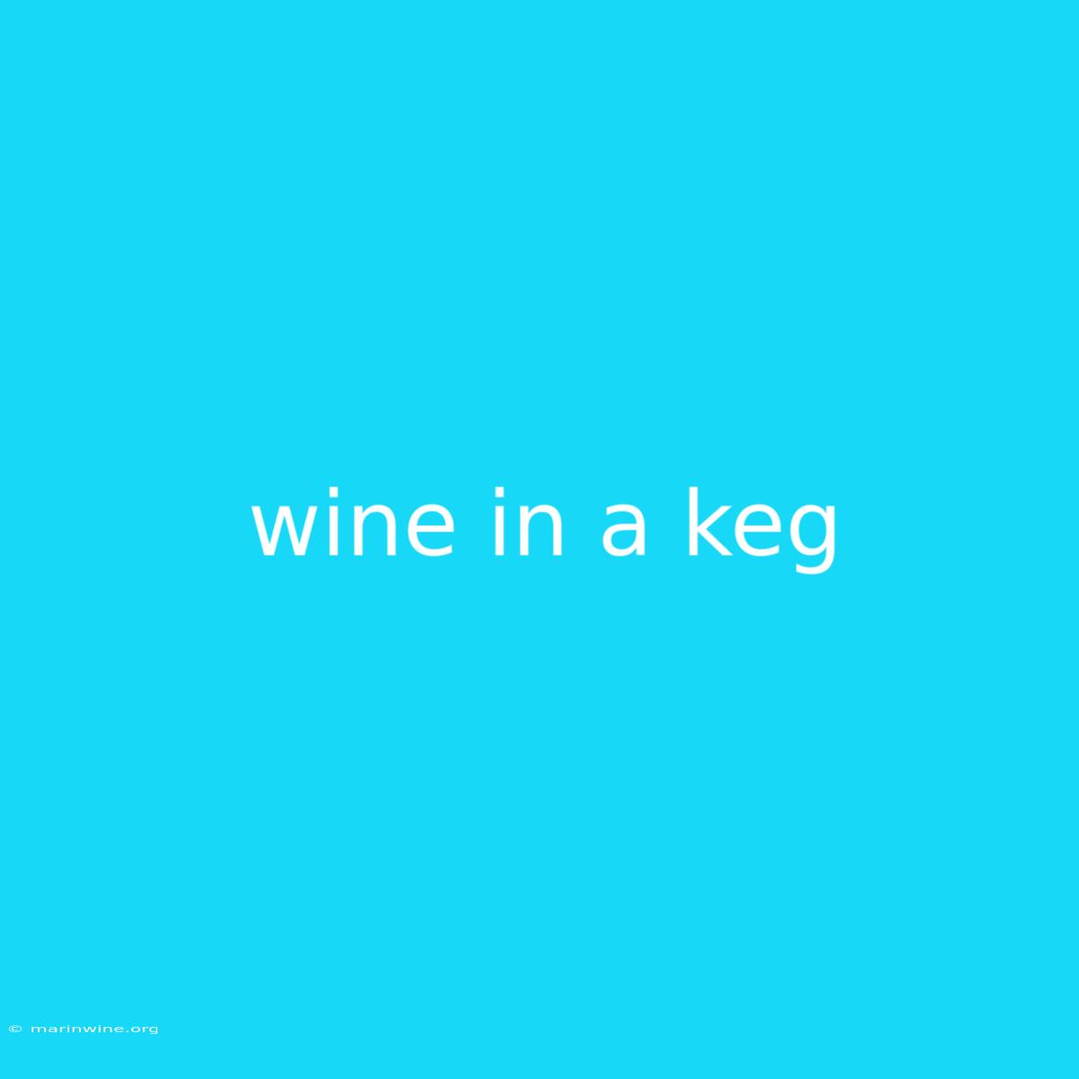 Wine In A Keg