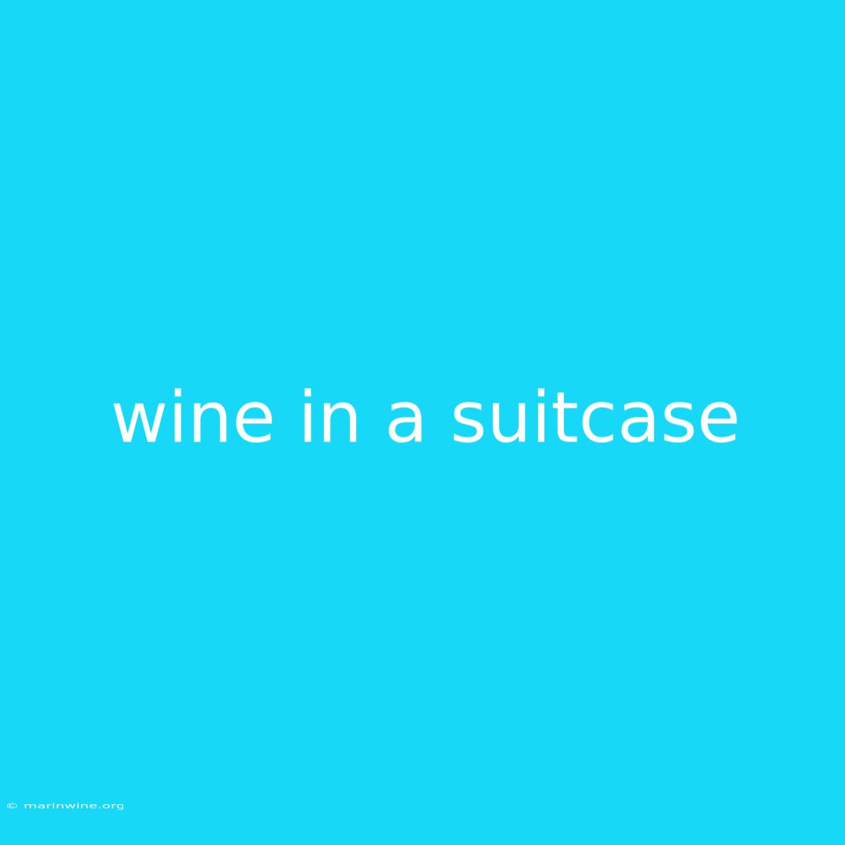 Wine In A Suitcase