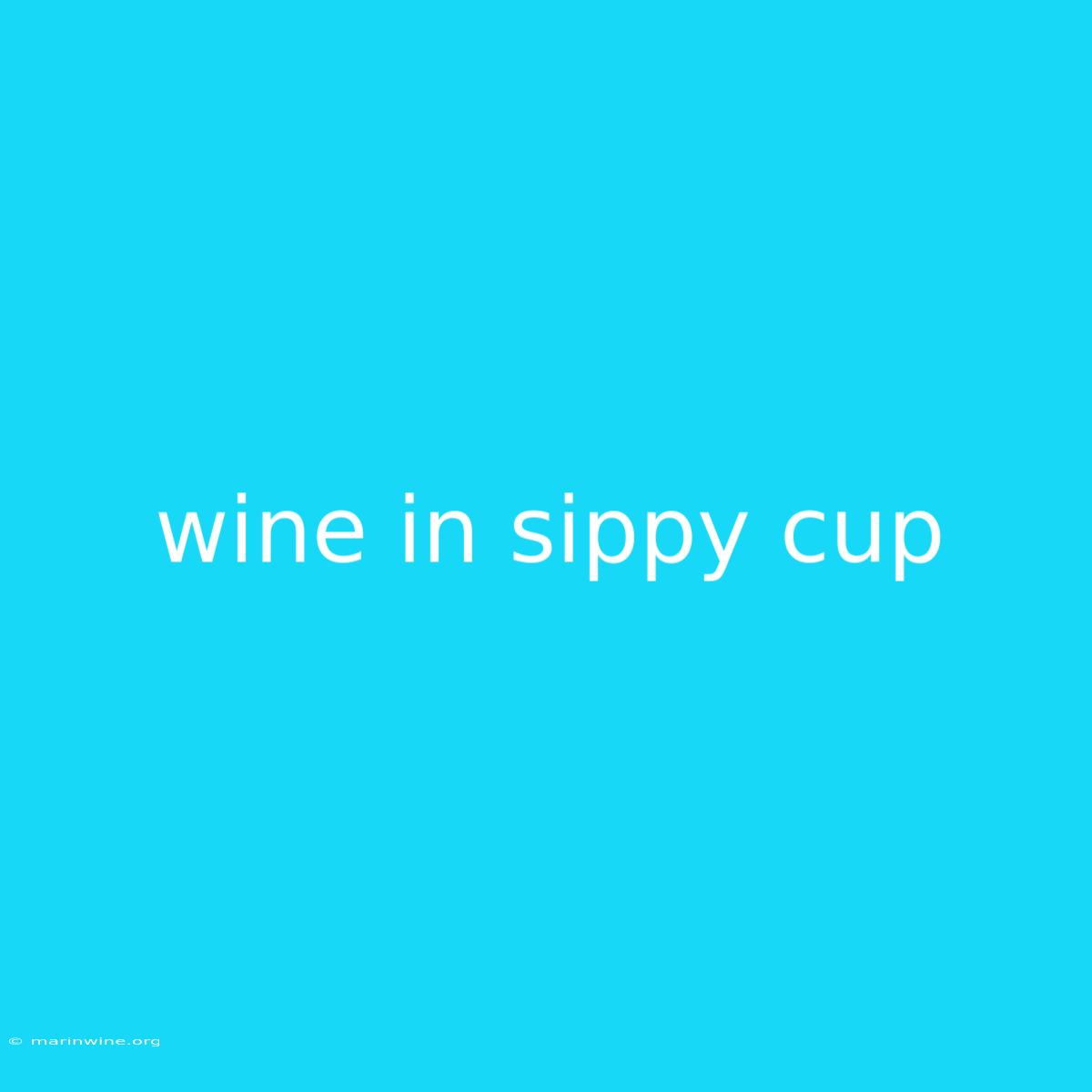 Wine In Sippy Cup