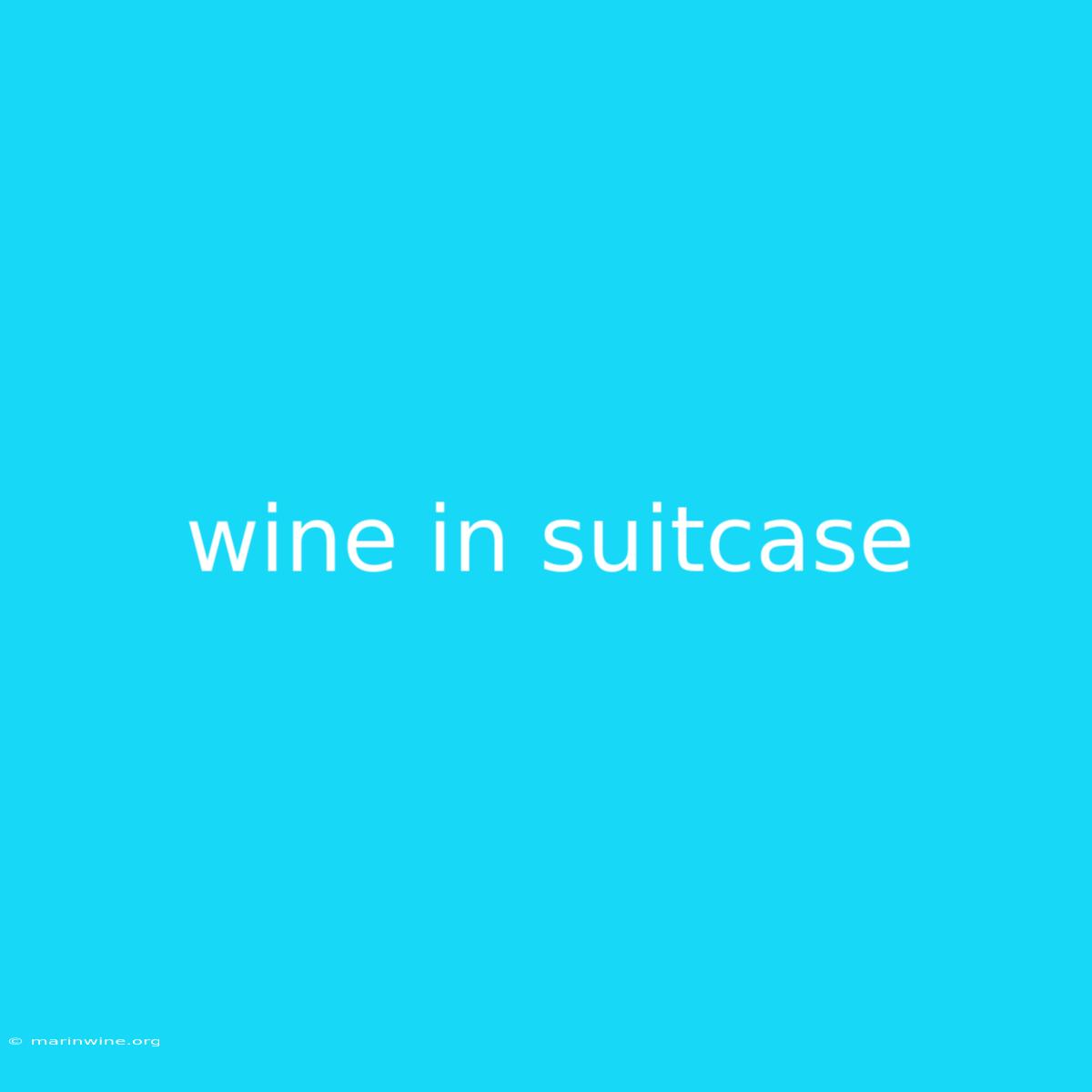 Wine In Suitcase