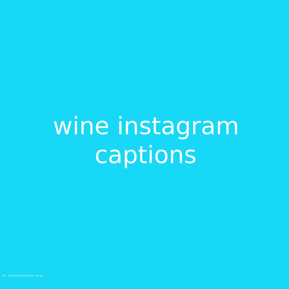 Wine Instagram Captions