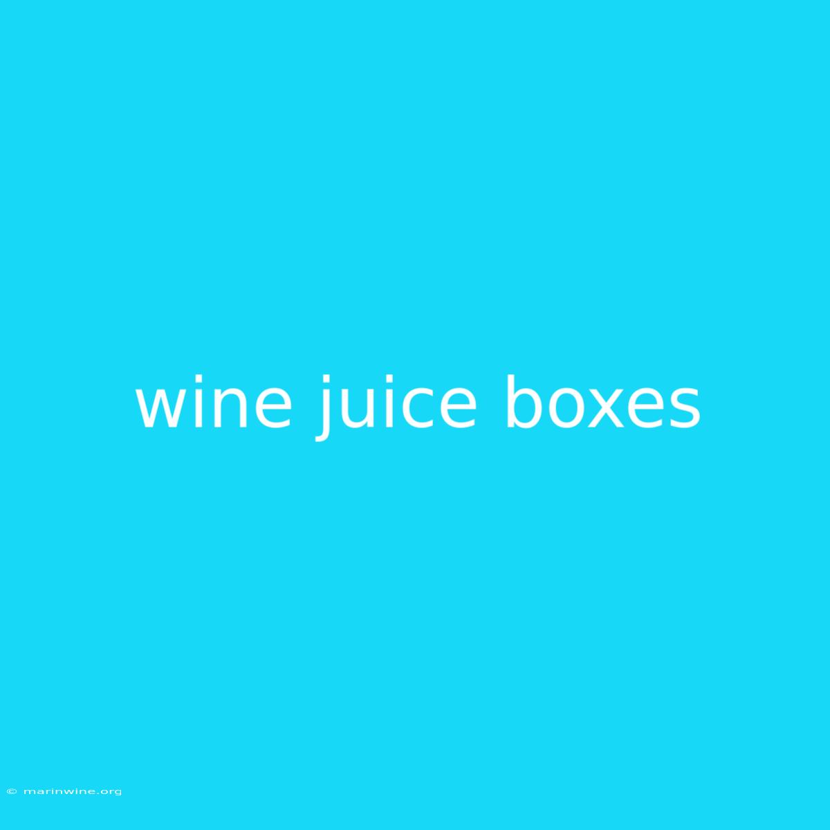 Wine Juice Boxes