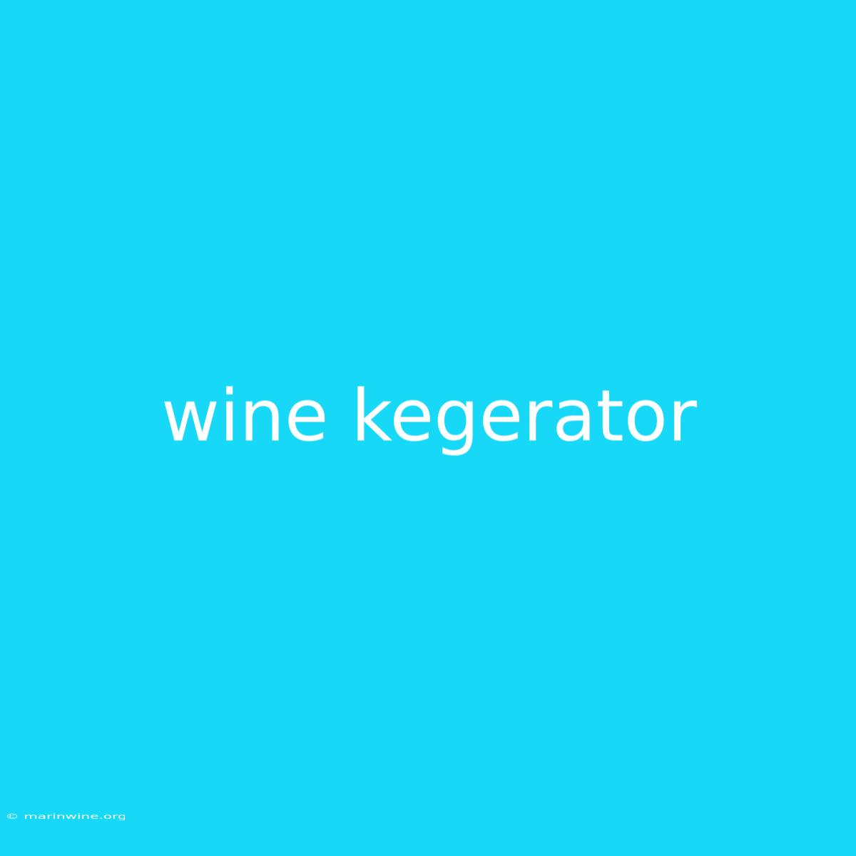 Wine Kegerator