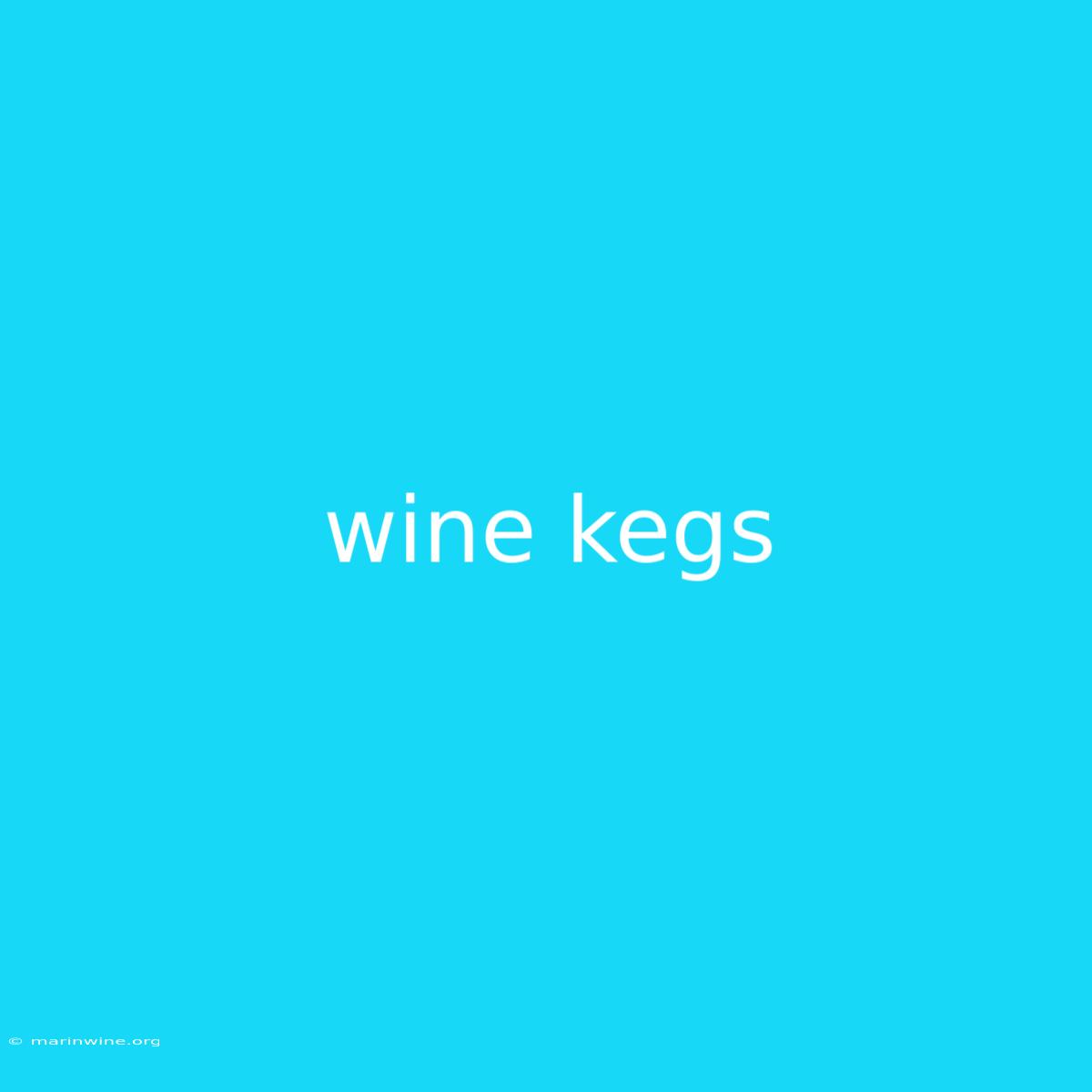 Wine Kegs