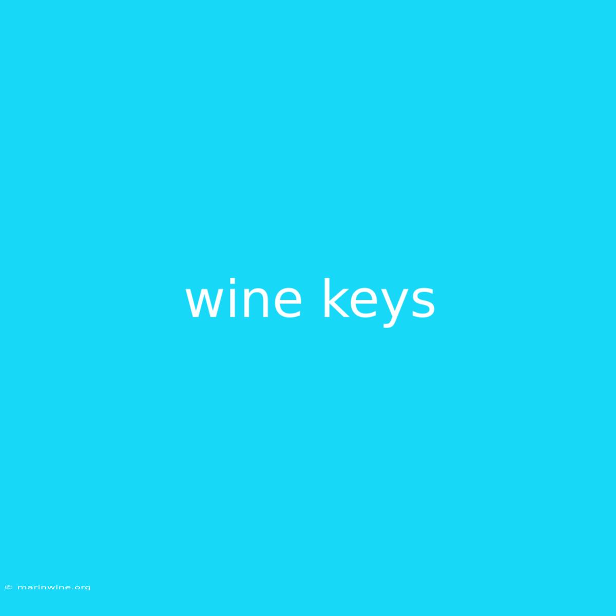 Wine Keys