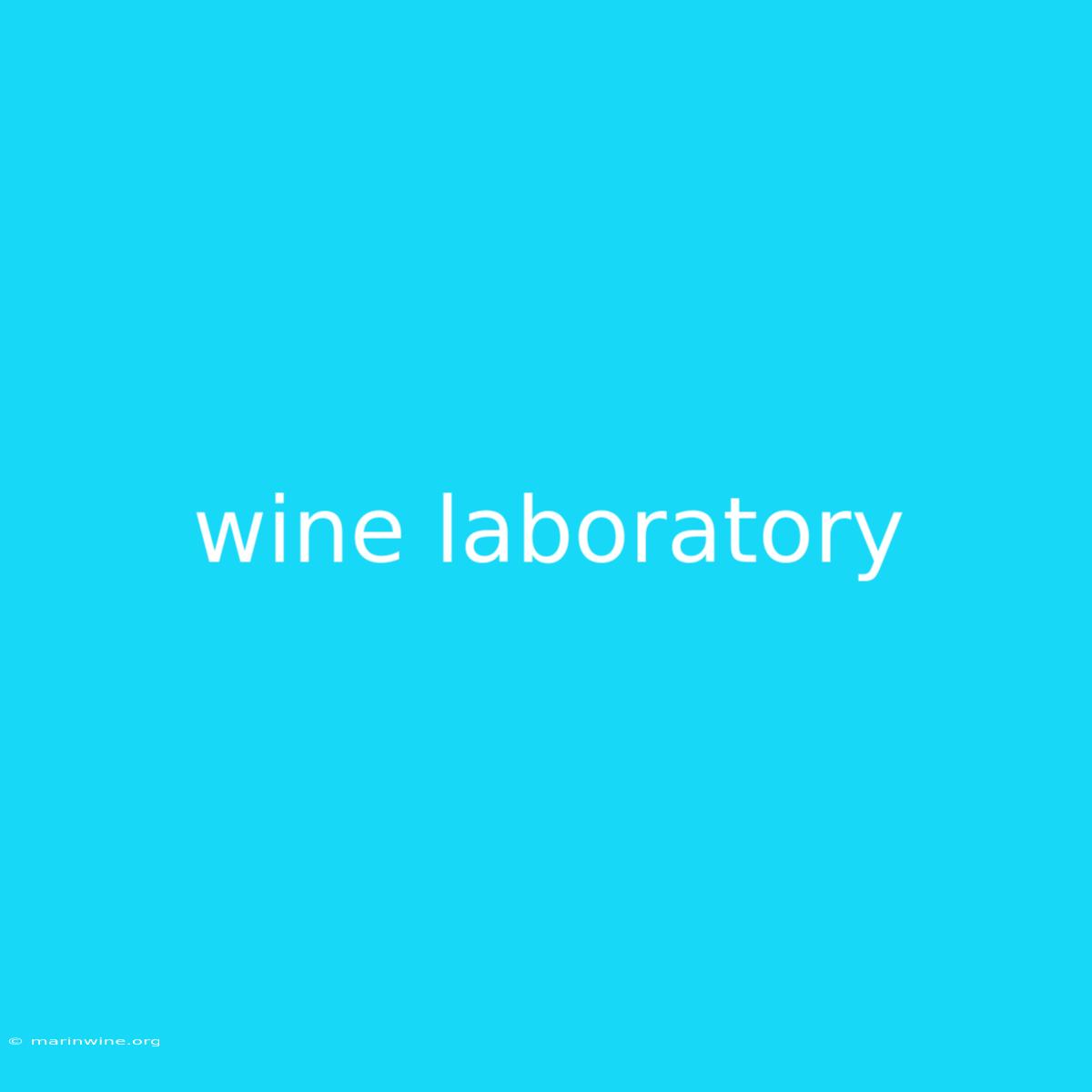 Wine Laboratory