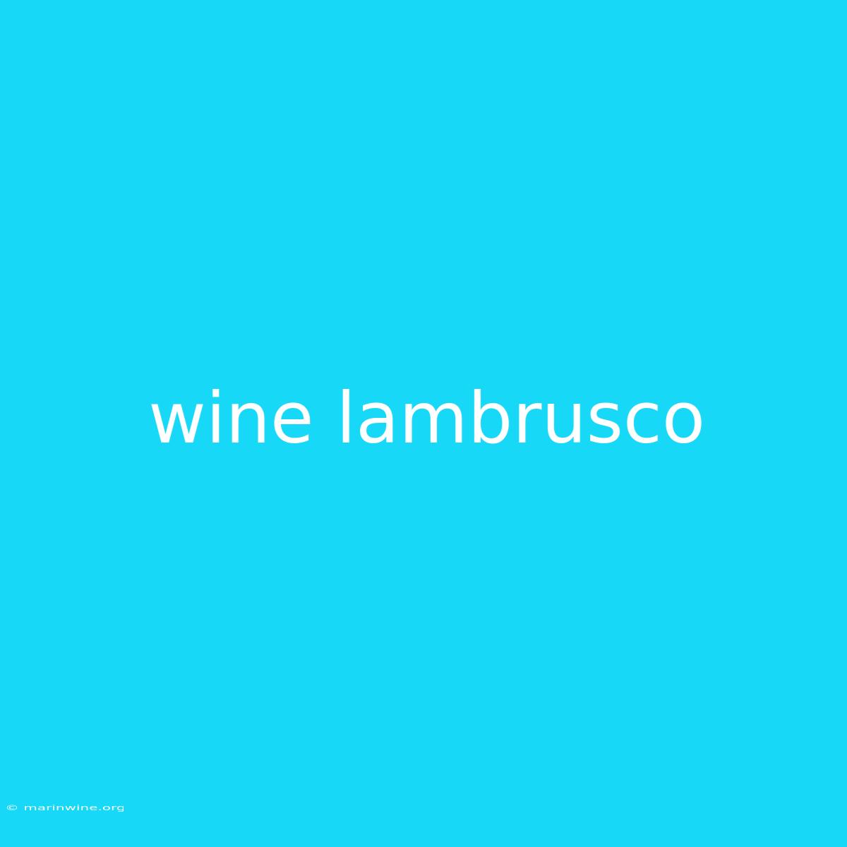 Wine Lambrusco