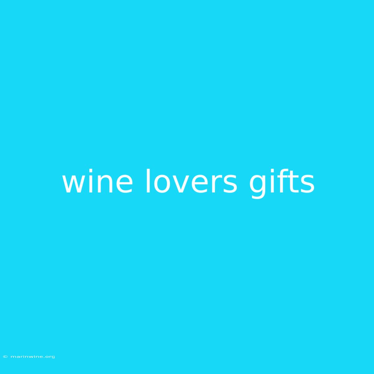 Wine Lovers Gifts