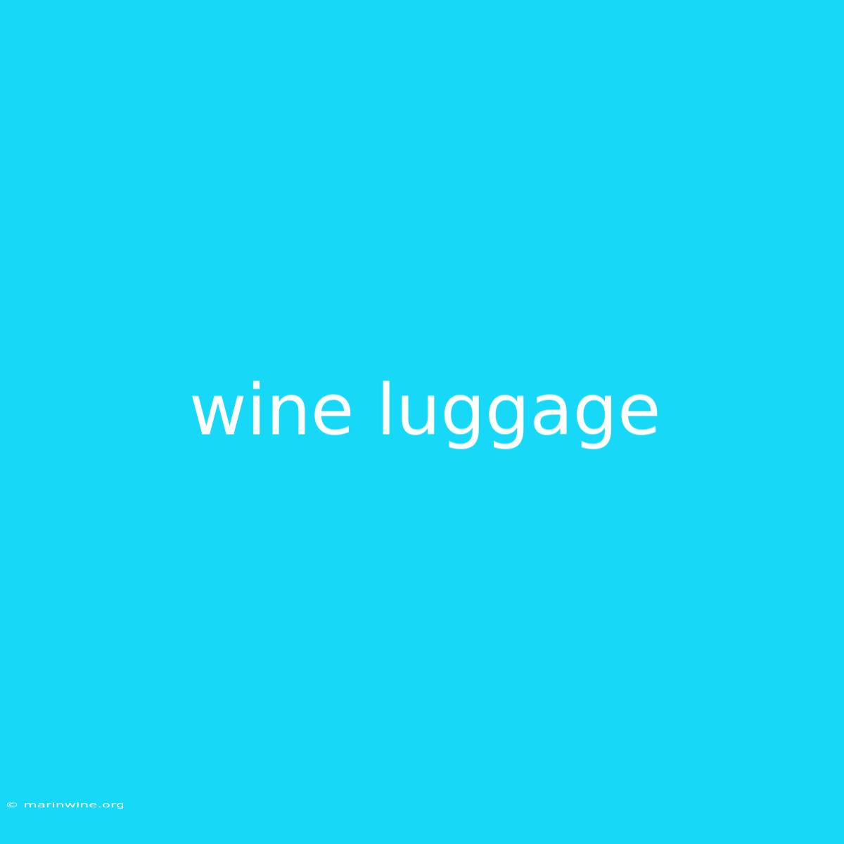 Wine Luggage