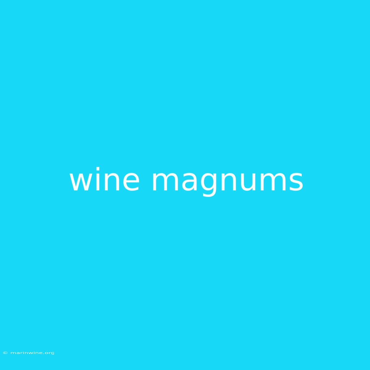 Wine Magnums