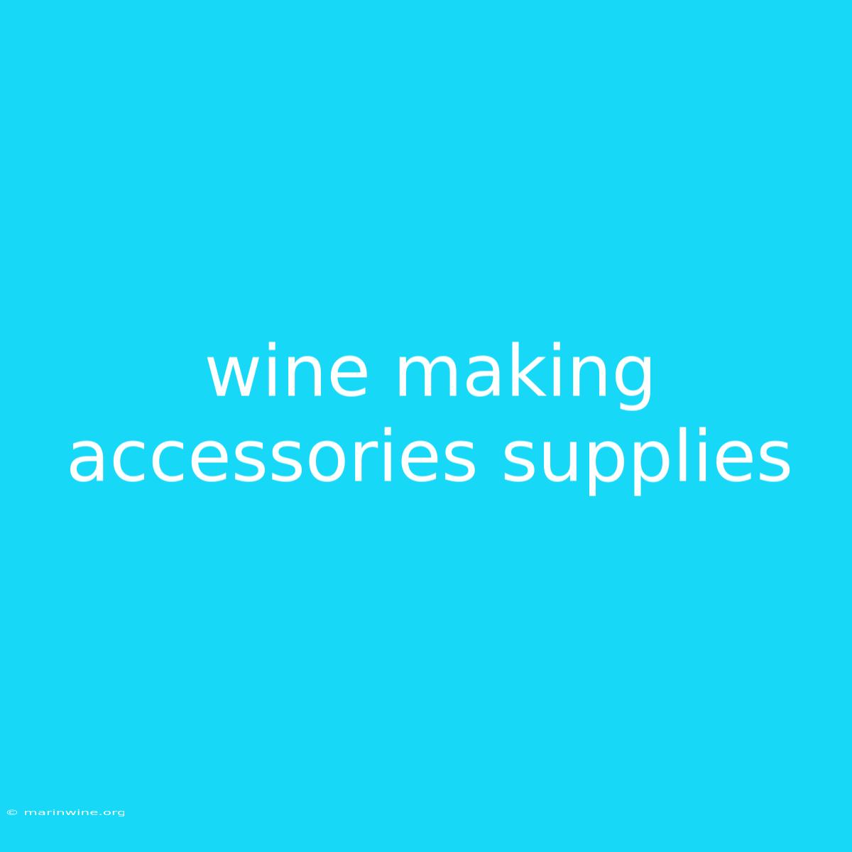 Wine Making Accessories Supplies