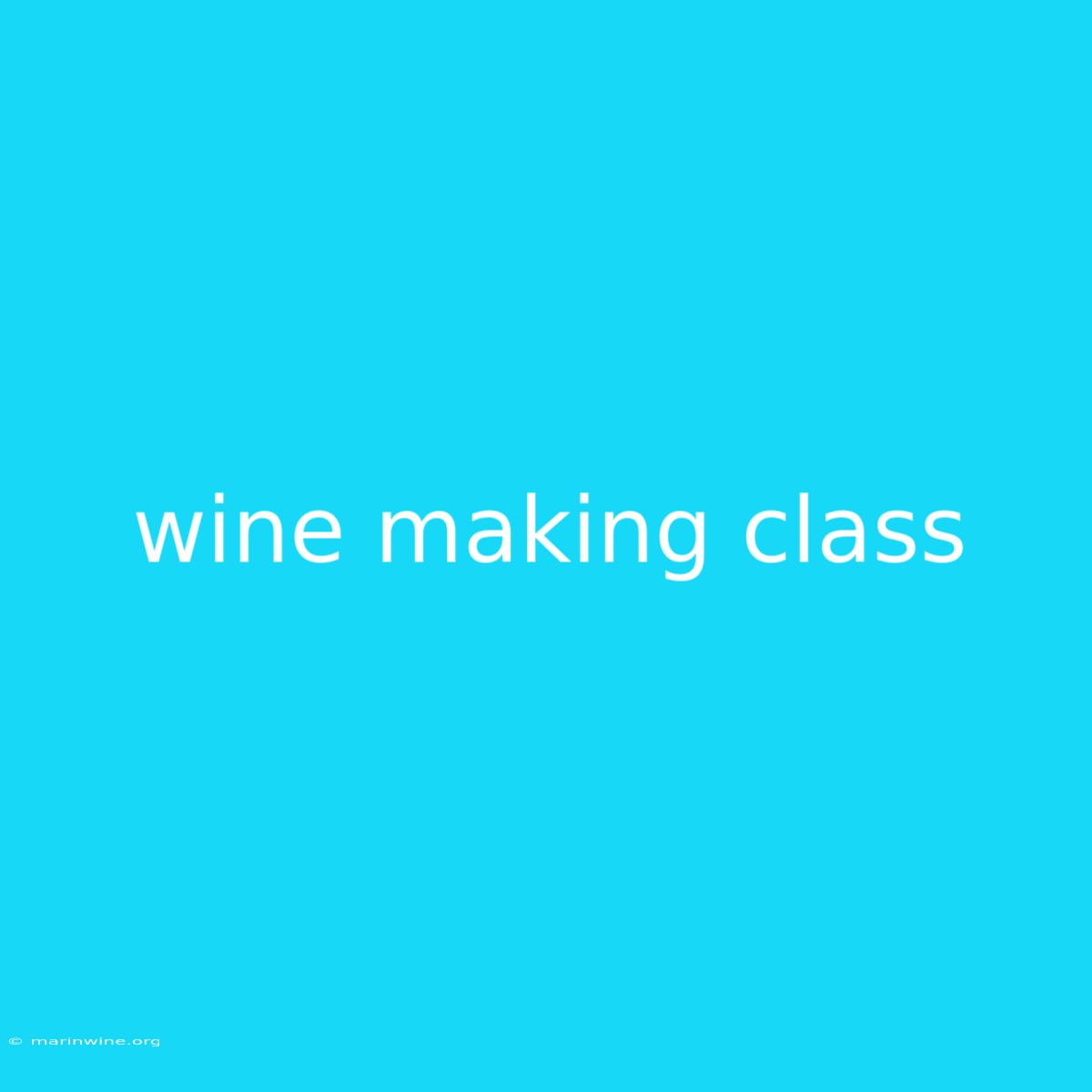 Wine Making Class