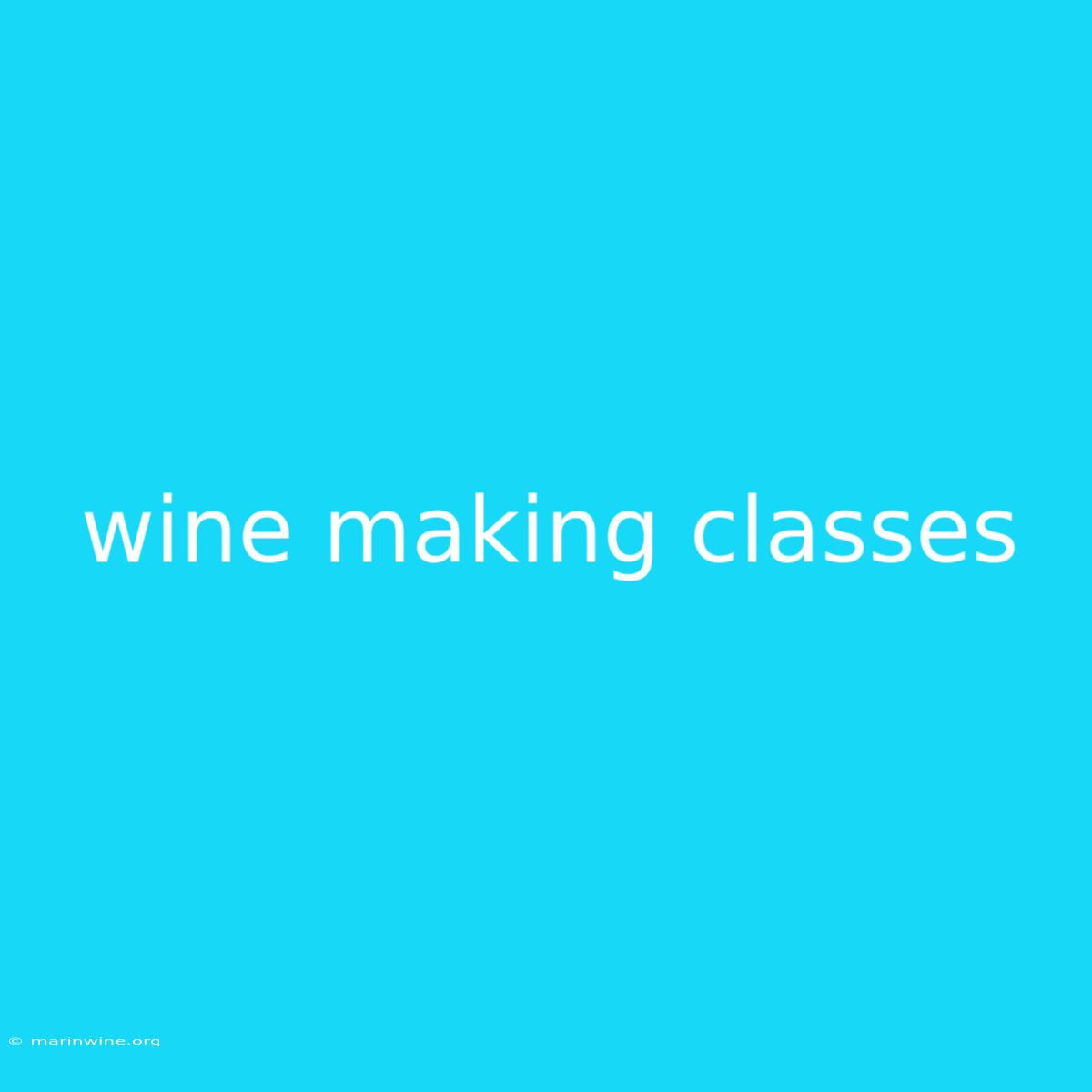 Wine Making Classes