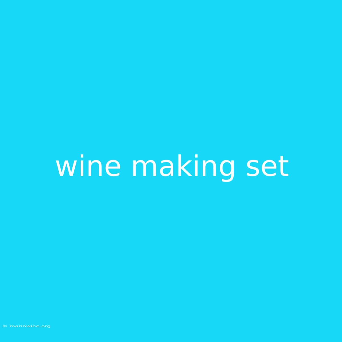 Wine Making Set