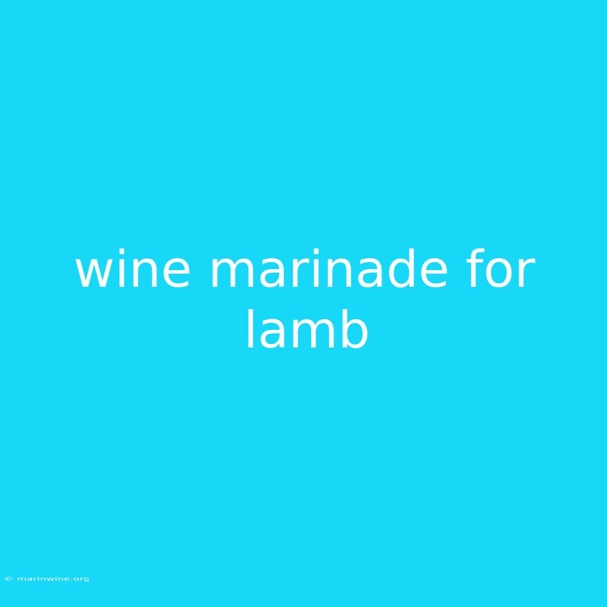 Wine Marinade For Lamb