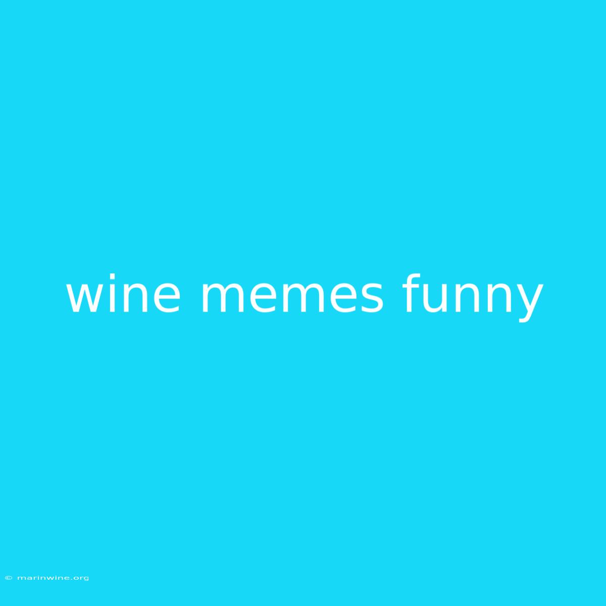 Wine Memes Funny