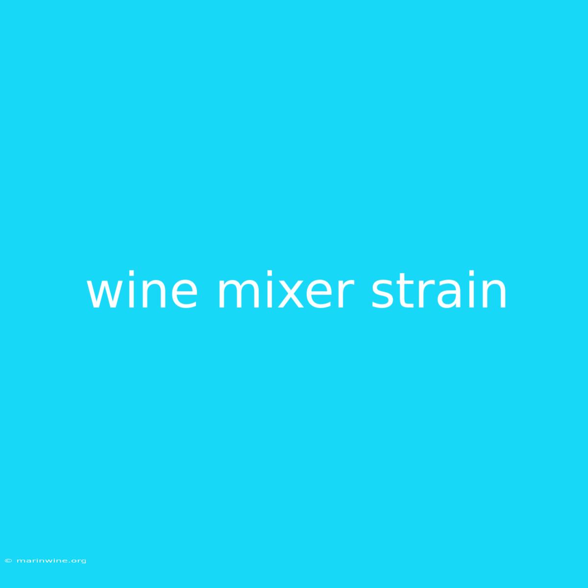 Wine Mixer Strain