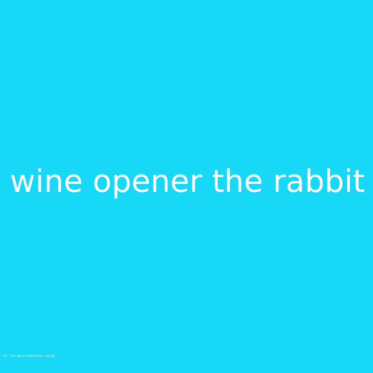 Wine Opener The Rabbit