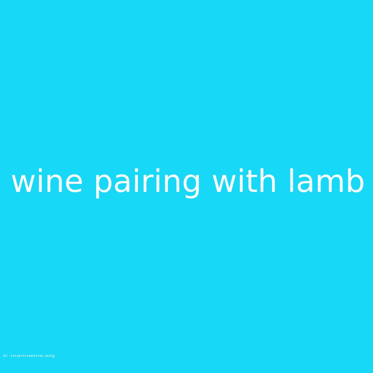 Wine Pairing With Lamb