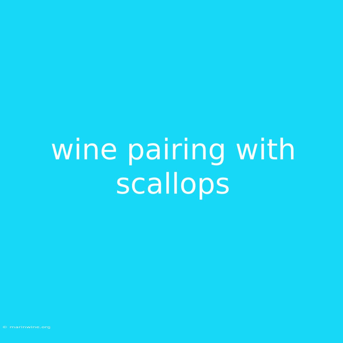 Wine Pairing With Scallops