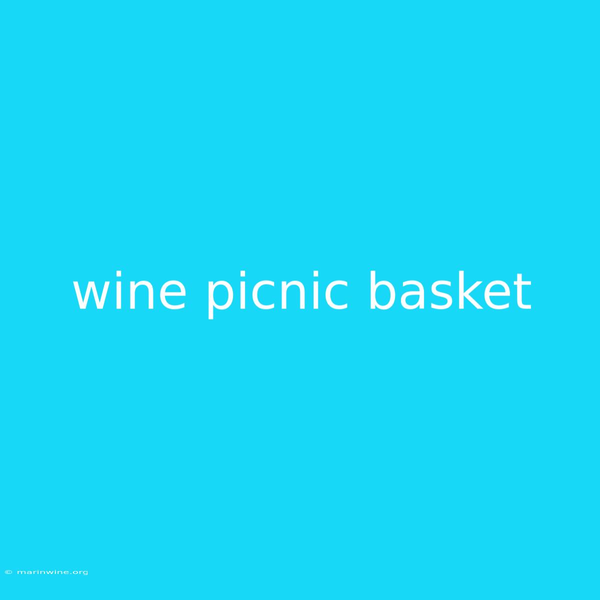 Wine Picnic Basket