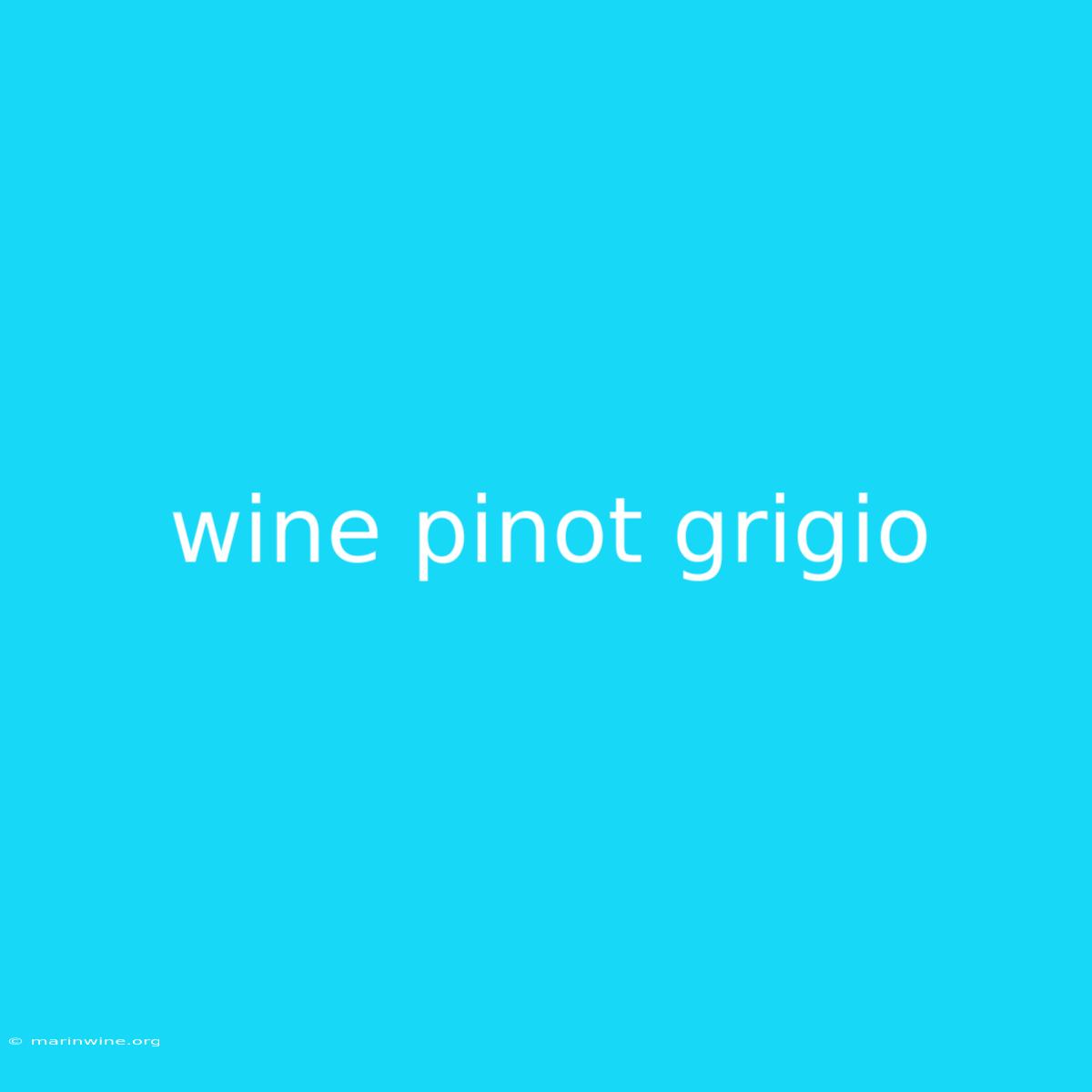 Wine Pinot Grigio