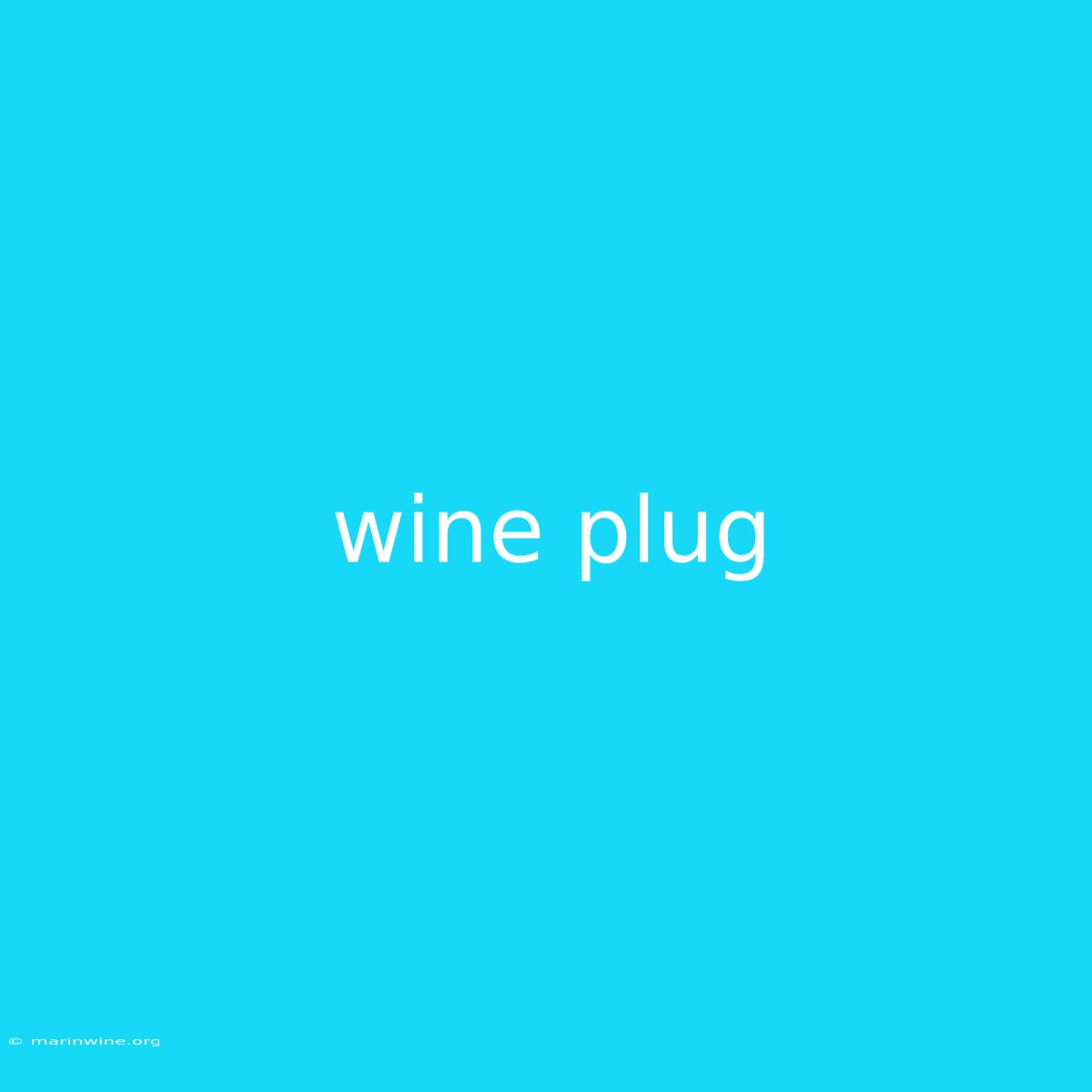 Wine Plug