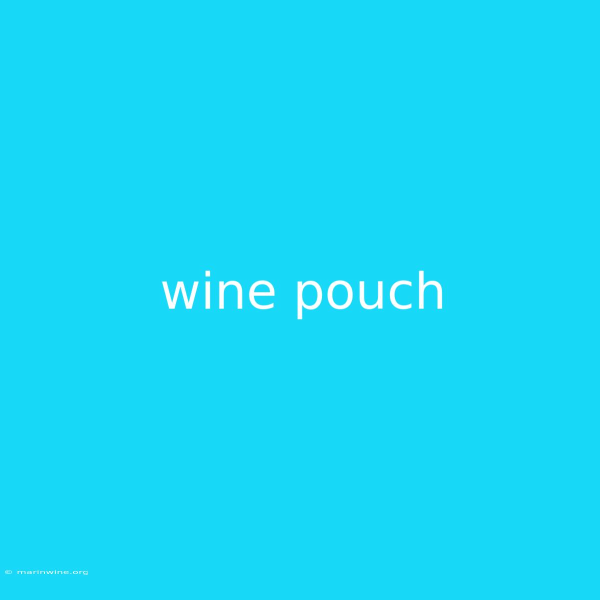 Wine Pouch