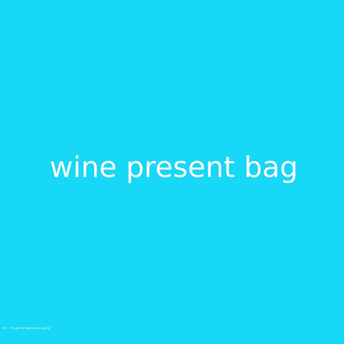 Wine Present Bag