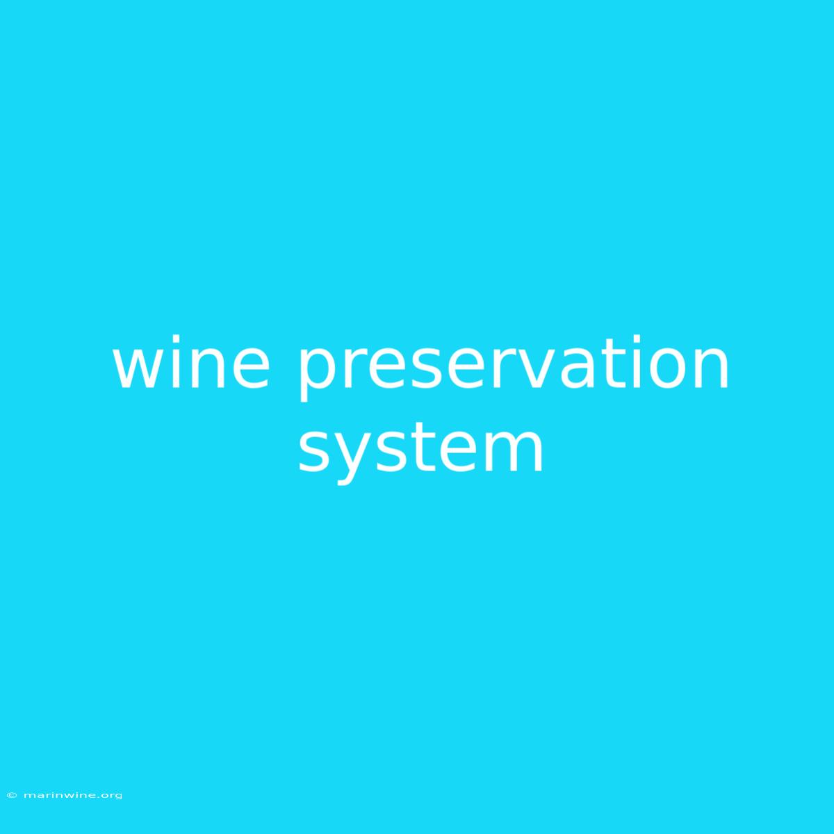 Wine Preservation System