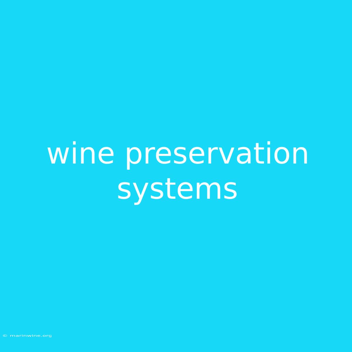 Wine Preservation Systems