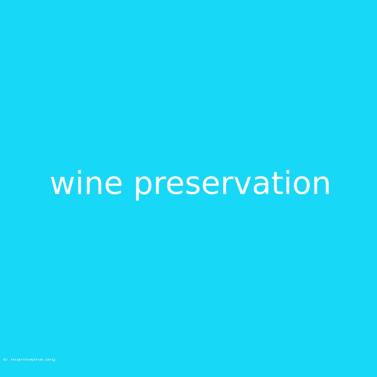 Wine Preservation