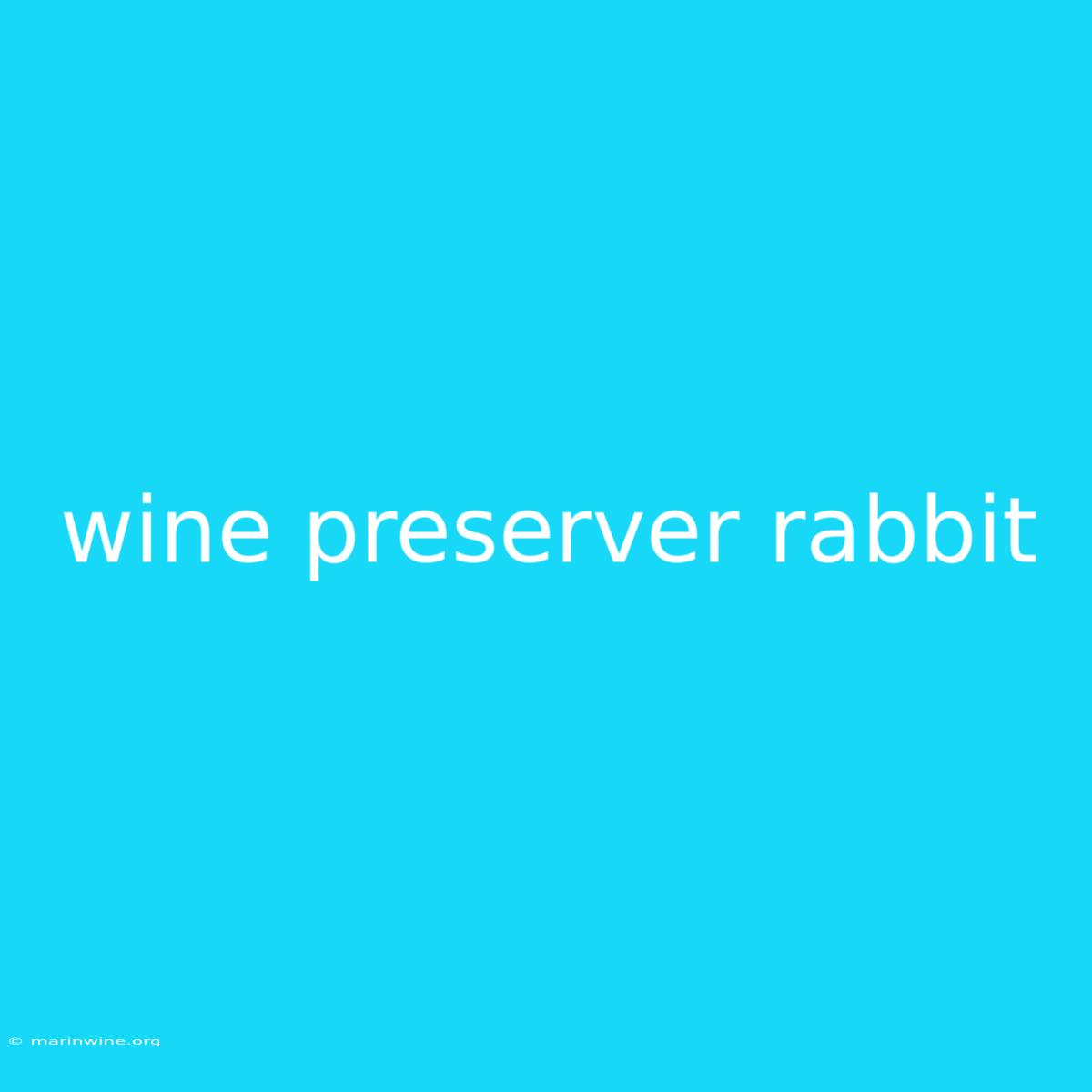 Wine Preserver Rabbit