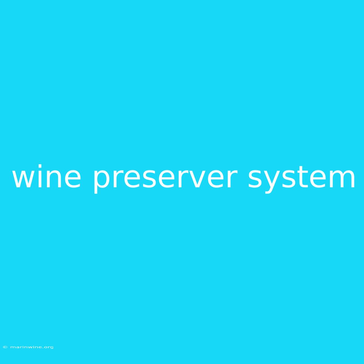 Wine Preserver System