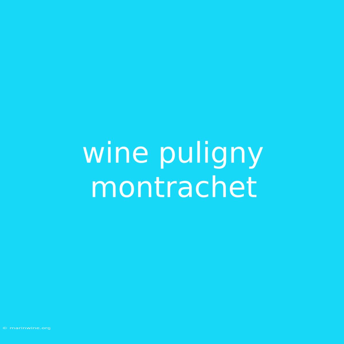 Wine Puligny Montrachet