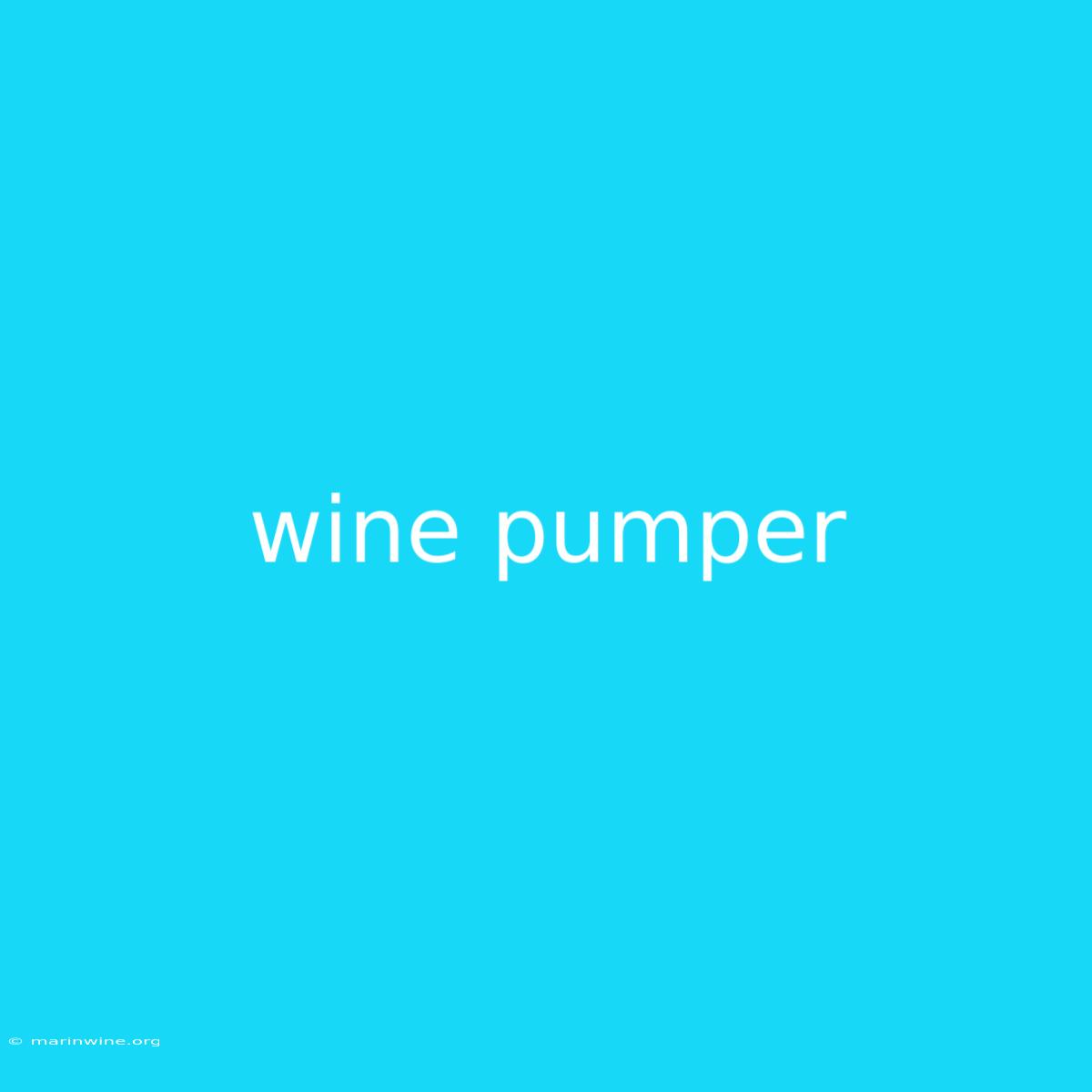 Wine Pumper