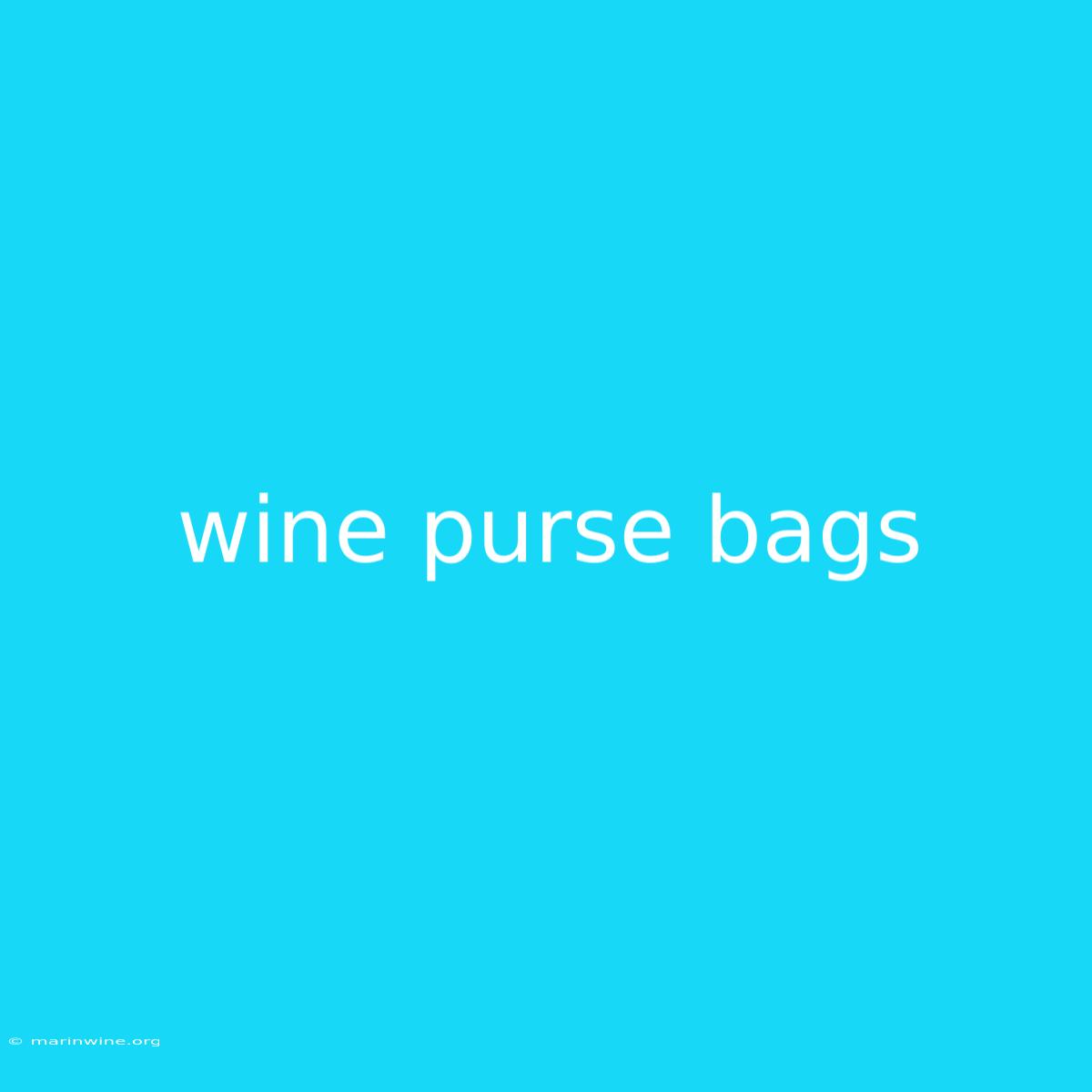 Wine Purse Bags