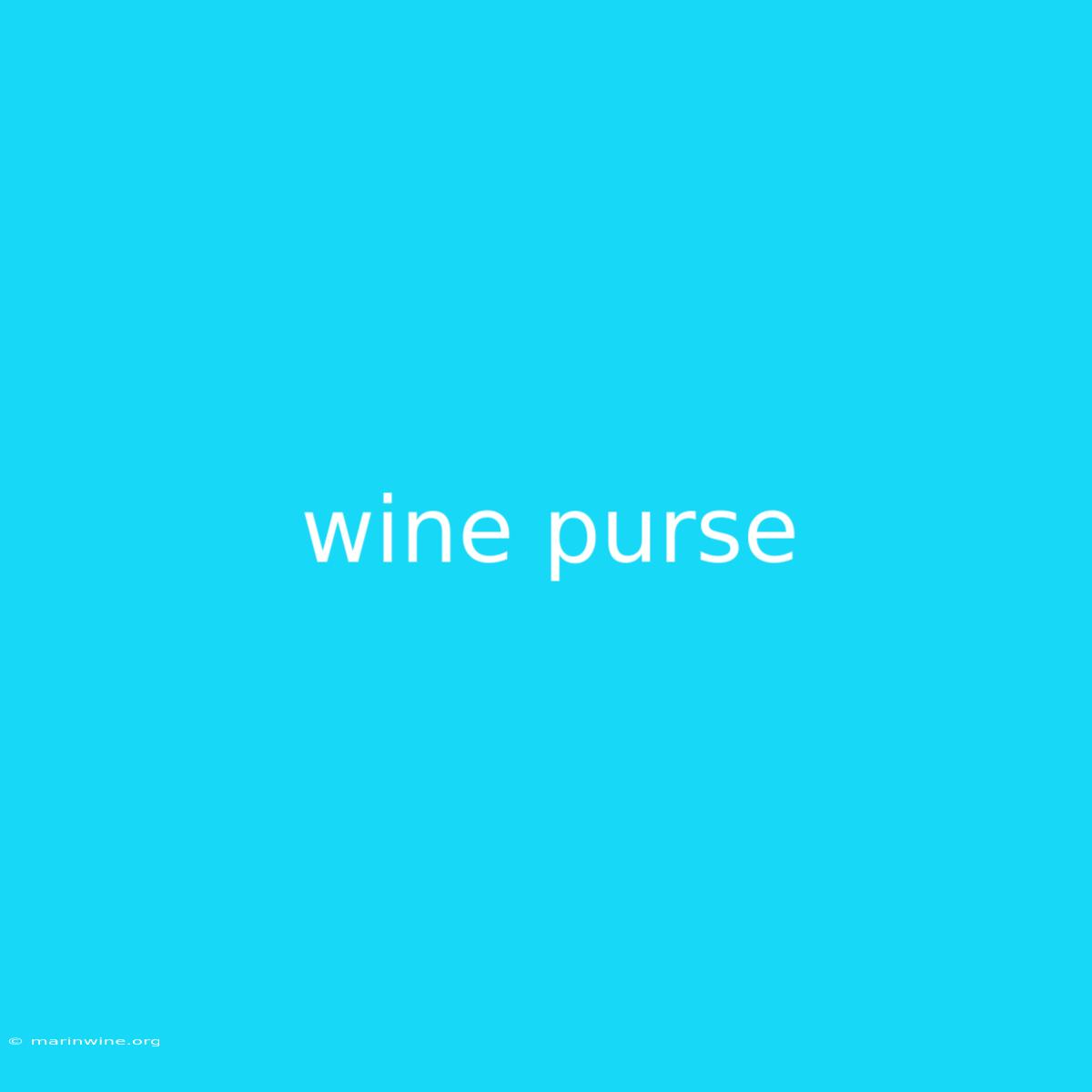 Wine Purse