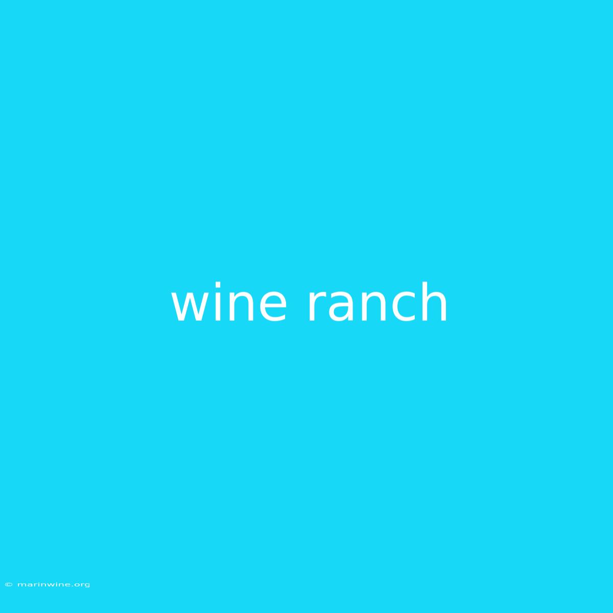 Wine Ranch