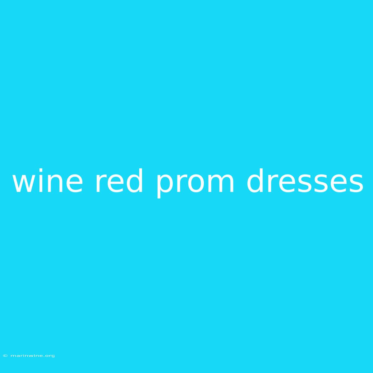 Wine Red Prom Dresses